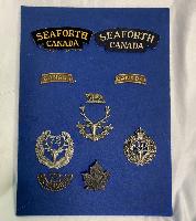 Canadian Seaforth Highlanders Badge  Collection