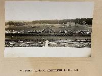 Aldershot Command Searchlight Tattoo 1930 Carded Photograph