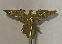 WW2 German NS-DMB Stickpin