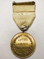 WW1 British Red Cross Society Medal
