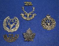  Canadian Seaforth Highlanders Badge  Collection