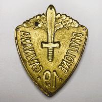 WW2 Italian Division 19 Gavinana Shield